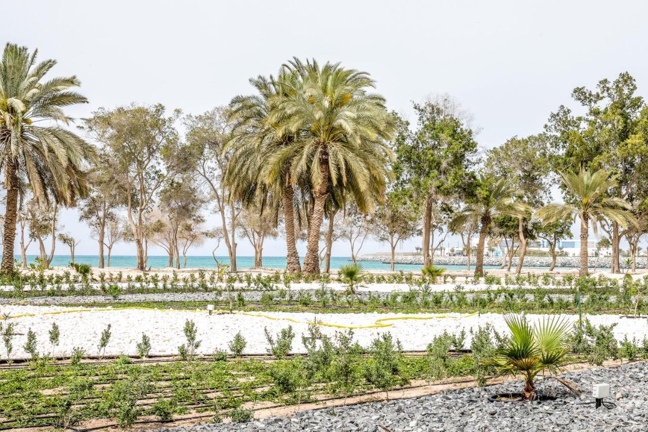 Dhafra Beach Hotel Jebel Dhanna Ngoại thất bức ảnh